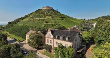 Goethe Schwarzwald Boutiquehotel Staufen