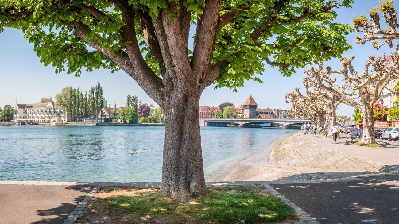 Aqua Hotel und Hostel