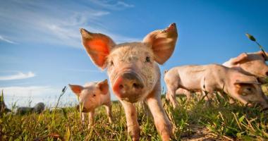 MAFZ M?rkische Ausstellungs- und Freizeitzentrum