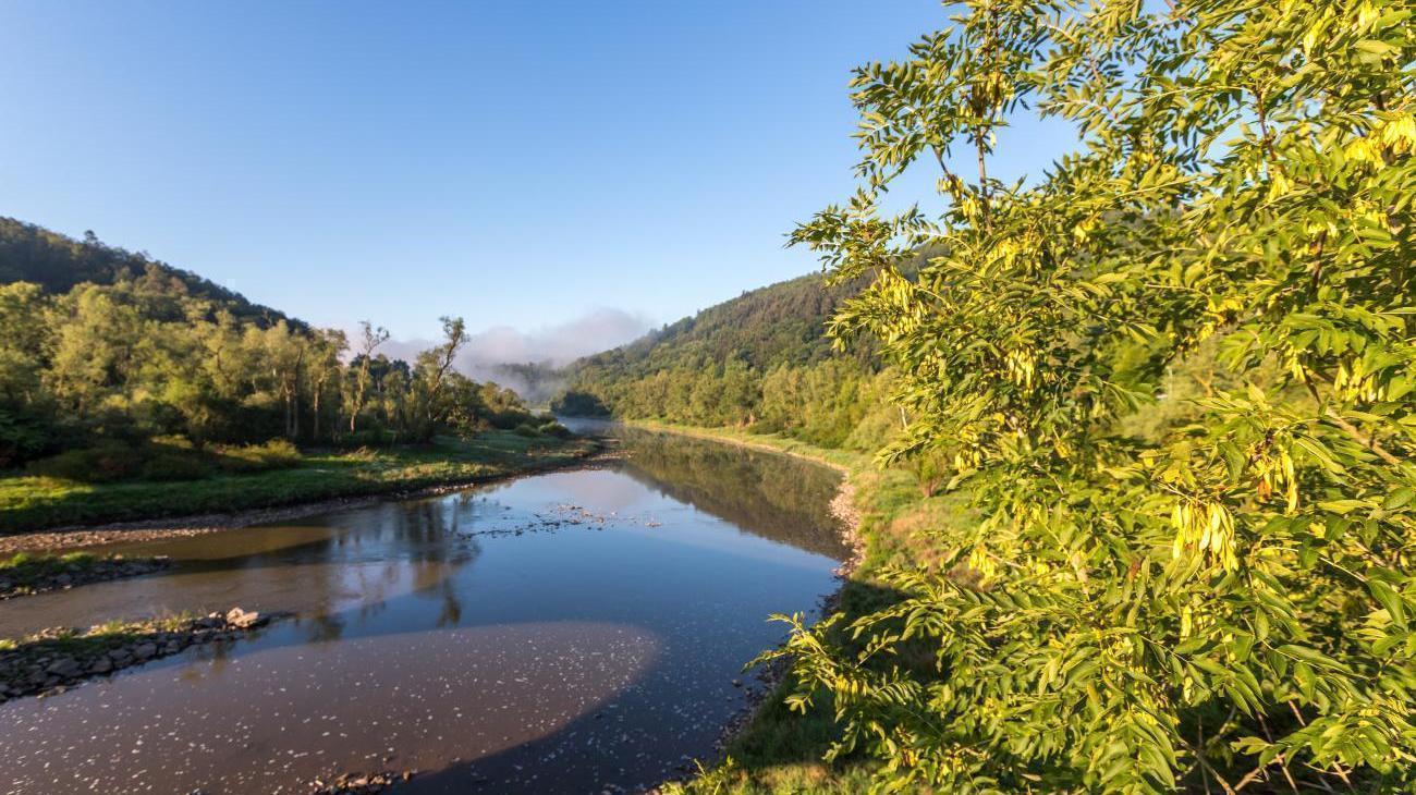 NationalparkZentrum Kellerwald