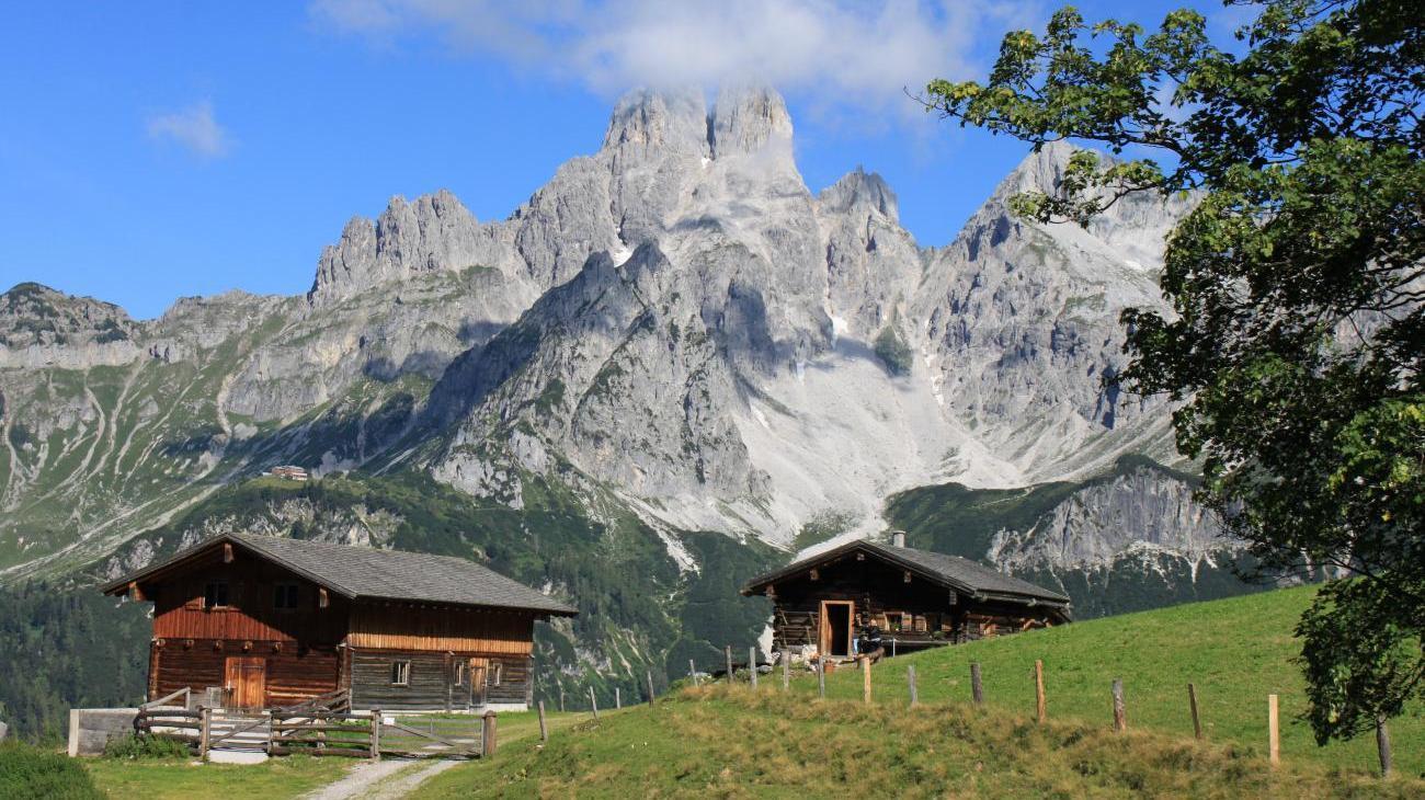 Berggasthof Almhütte