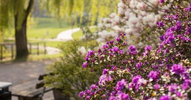 OrchIDEENgarten & Cafe Die G?rtnerei