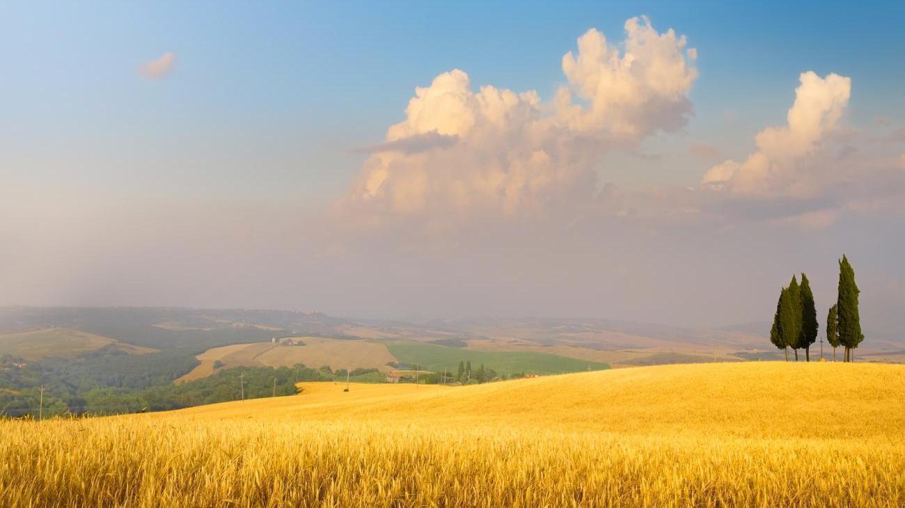 Landhotel zu Heidelberg
