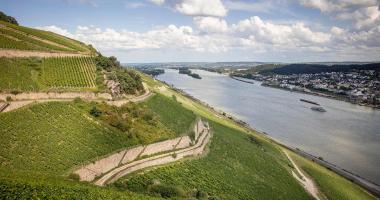 Rüdesheim am Rhein