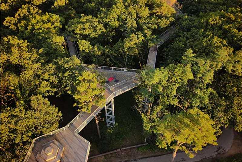 Baum&Zeit - Baumkronenpfad Beelitz Heilstätten