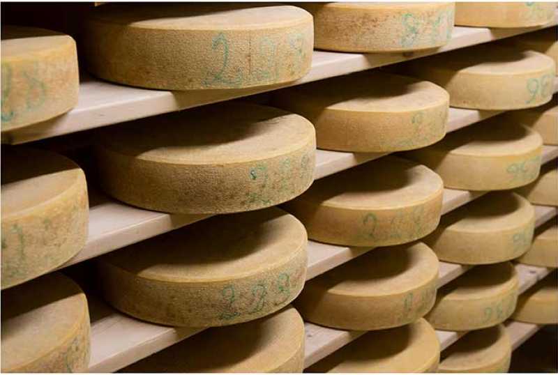 Naturkäserei TegernseerLand