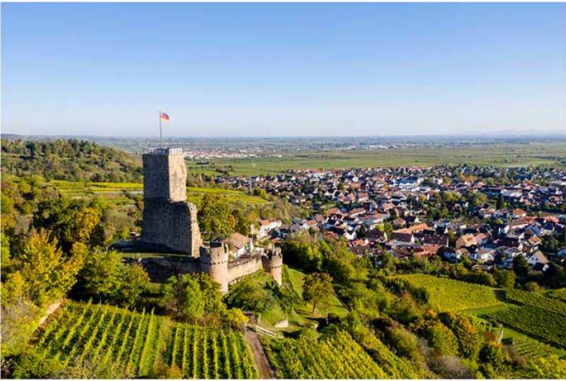  Wein- und Ferienregion Wachenheim