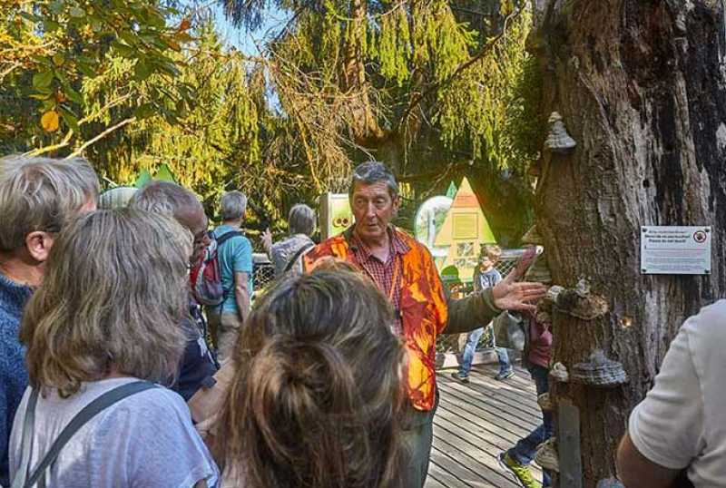 Baumwipfelpfad Saarschleife