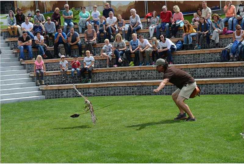 Ötzi-Dorf & Greifvogelpark