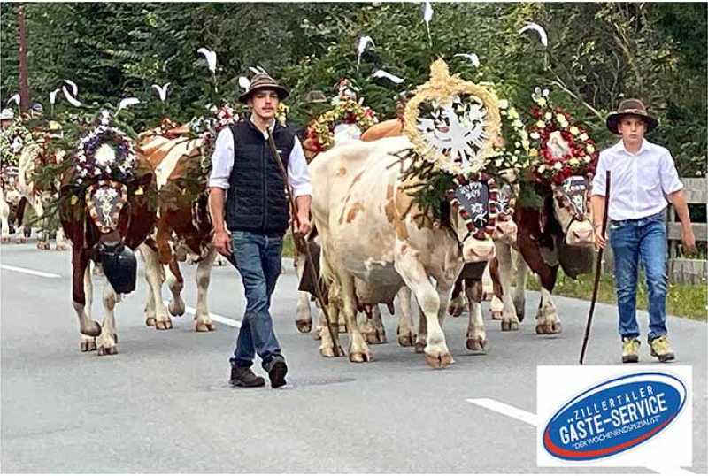 Zillertaler Gäste-Service