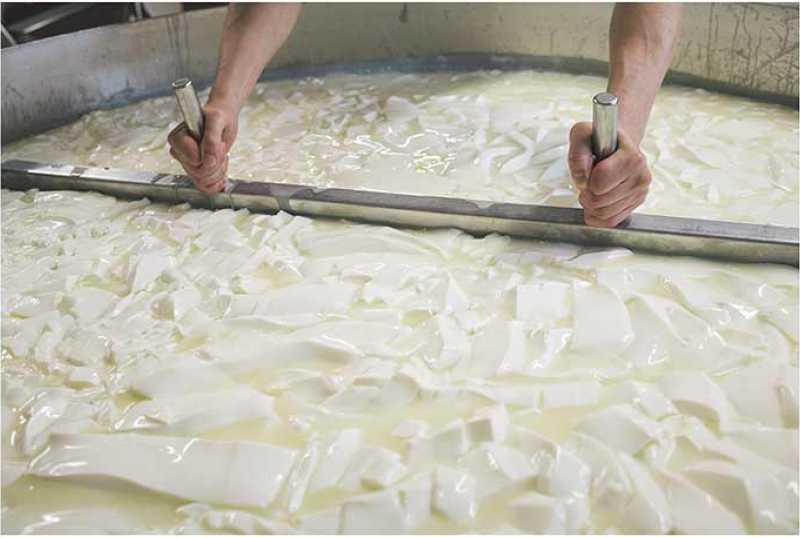 Naturkäserei TegernseerLand