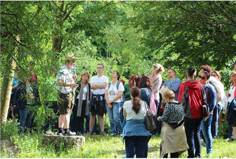 Steinschaler Naturhotels
