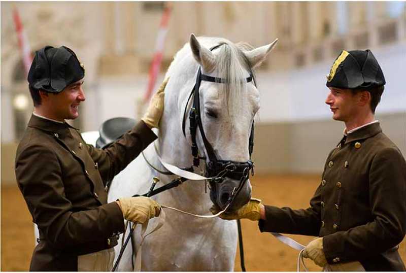 Spanische Hofreitschule