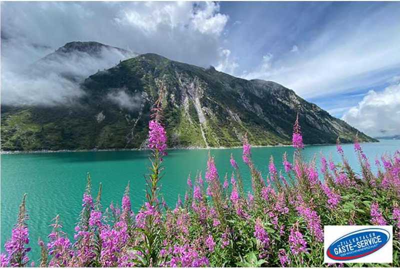 Zillertaler Gäste-Service