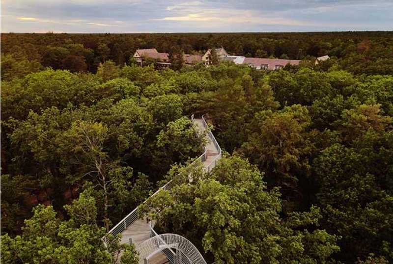 Baum&Zeit - Baumkronenpfad Beelitz Heilstätten
