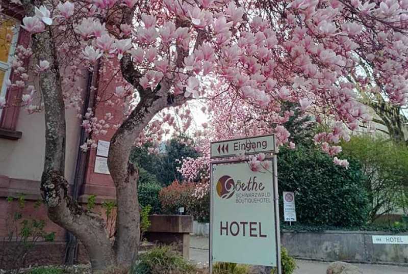 Goethe Schwarzwald Boutiquehotel Staufen