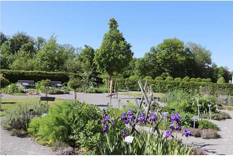 Prämonstratenser-Kloster Roggenburg