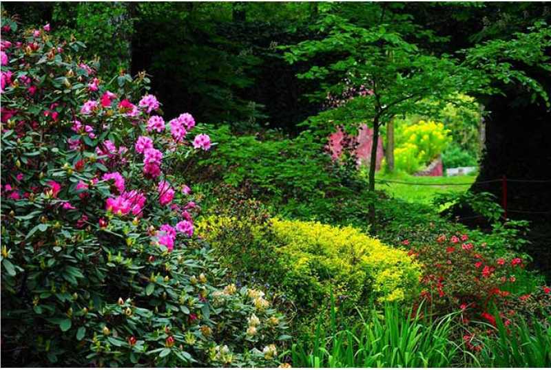 Schlosspark Dennenlohe