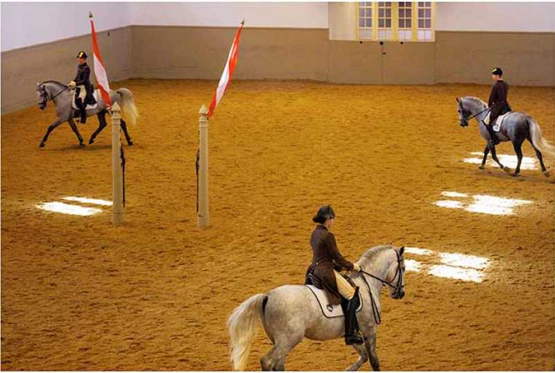 Spanische Hofreitschule