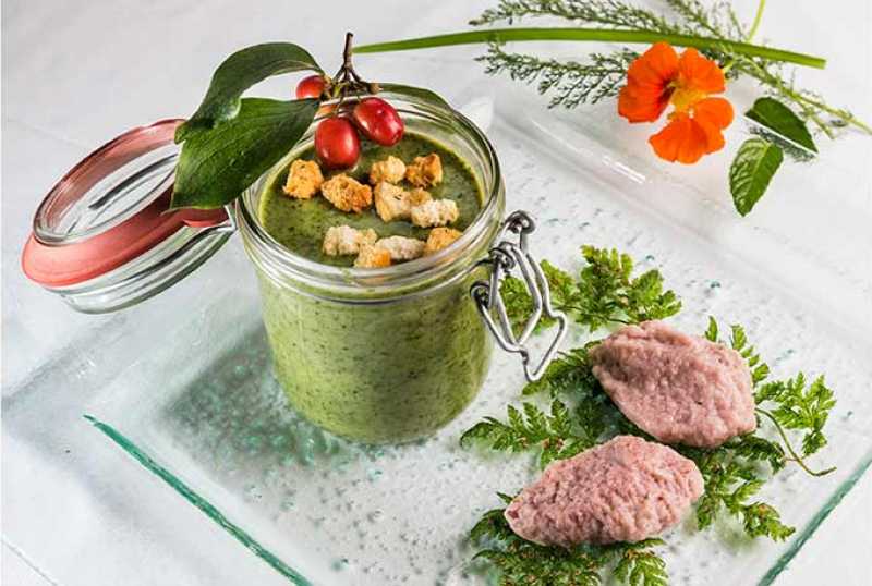 Steinschaler Naturhotels