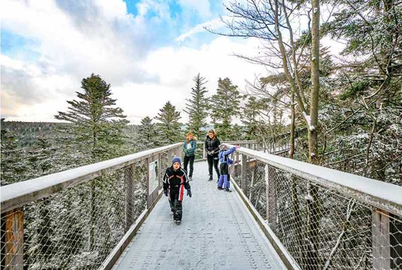 Baumwipfelpfad Schwarzwald