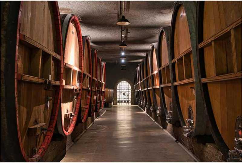 GWF Frankenwein
