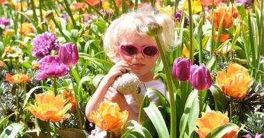 Landesgartenschau Bad Windsheim 2027