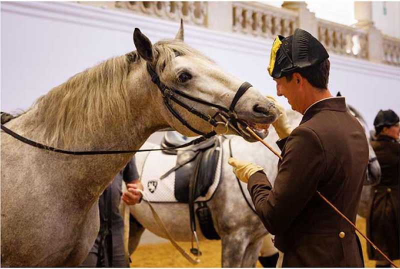 Spanische Hofreitschule