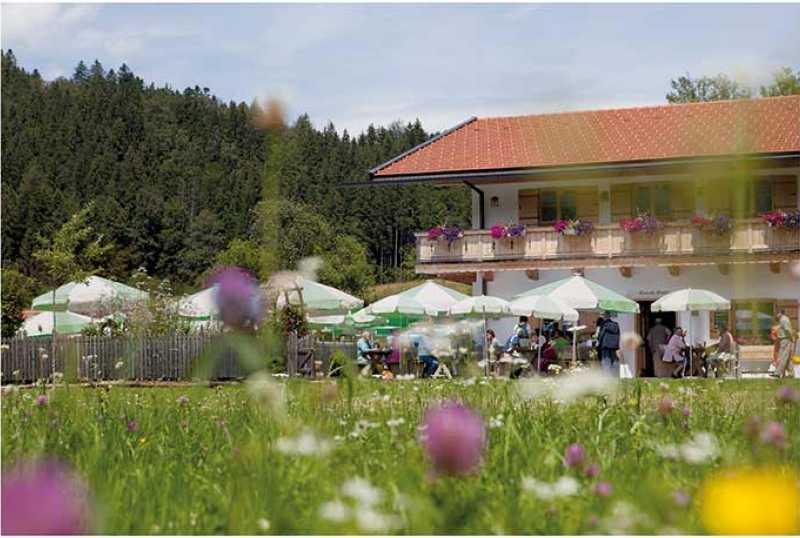 Naturkäserei TegernseerLand