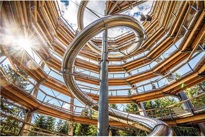 Baumwipfelpfad Schwarzwald