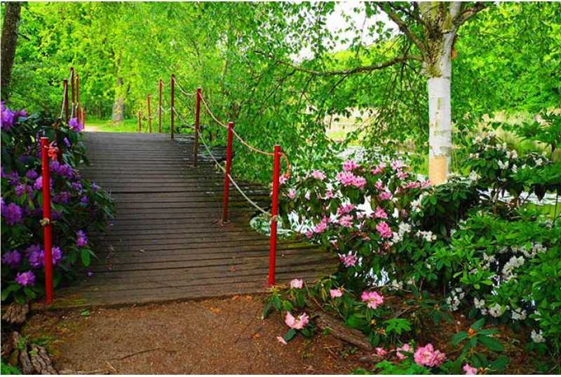 Schlosspark Dennenlohe