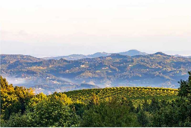 Landhotel - am Gut Moser