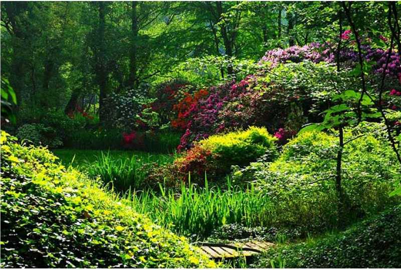 Schlosspark Dennenlohe